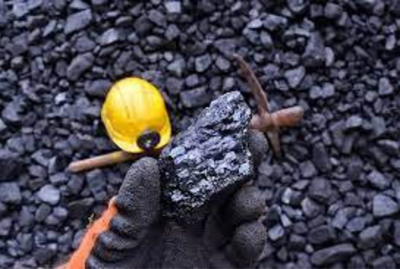 Mineral Trader SAS